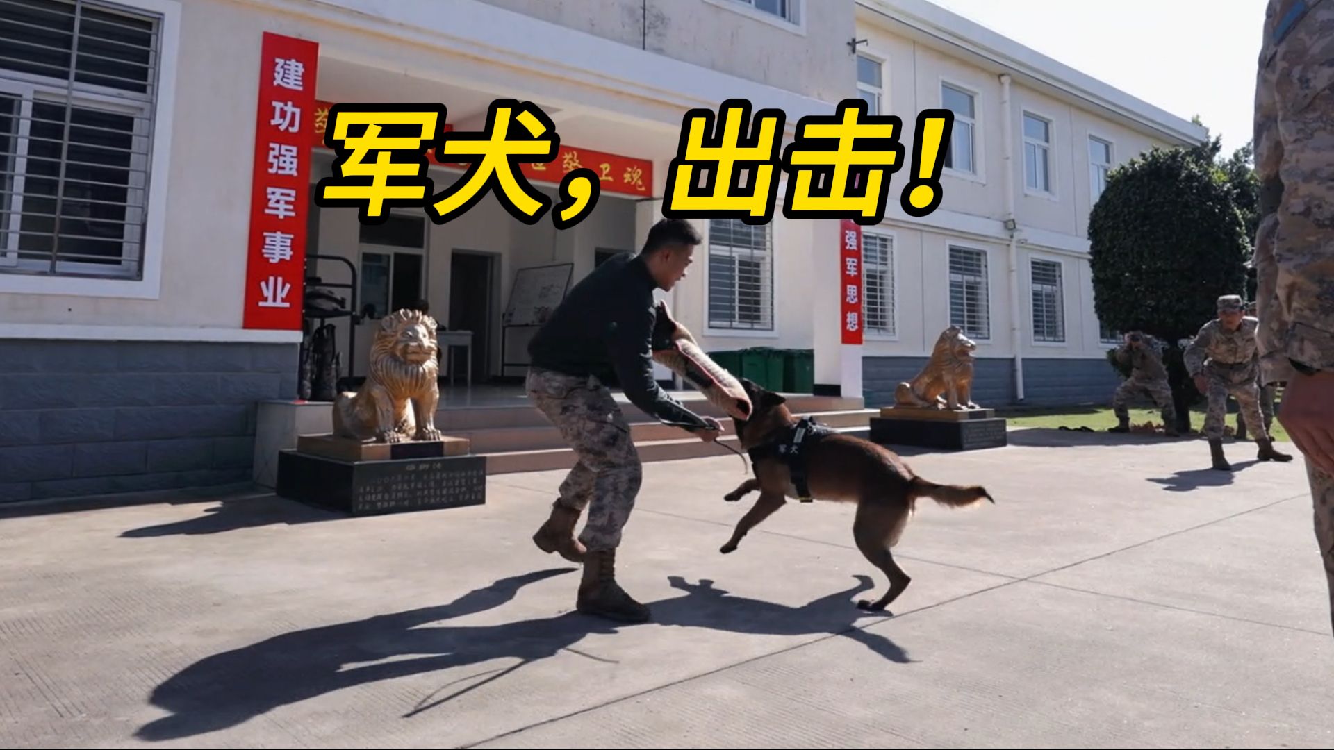 军犬,出击!