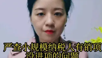 严查小规模纳税人有销项没进项的问题。