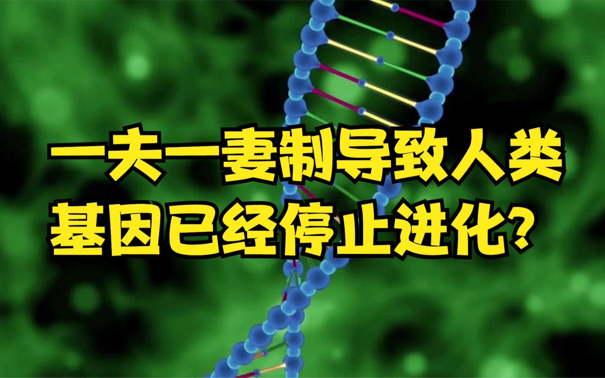 一夫一妻制导致人类基因停止进化?优胜劣汰消失了,事实真相是?哔哩哔哩bilibili