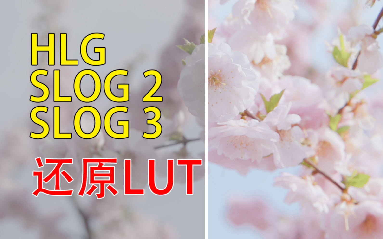 自制索尼hlgslog2slog3还原lut附赠调色练习视频素材