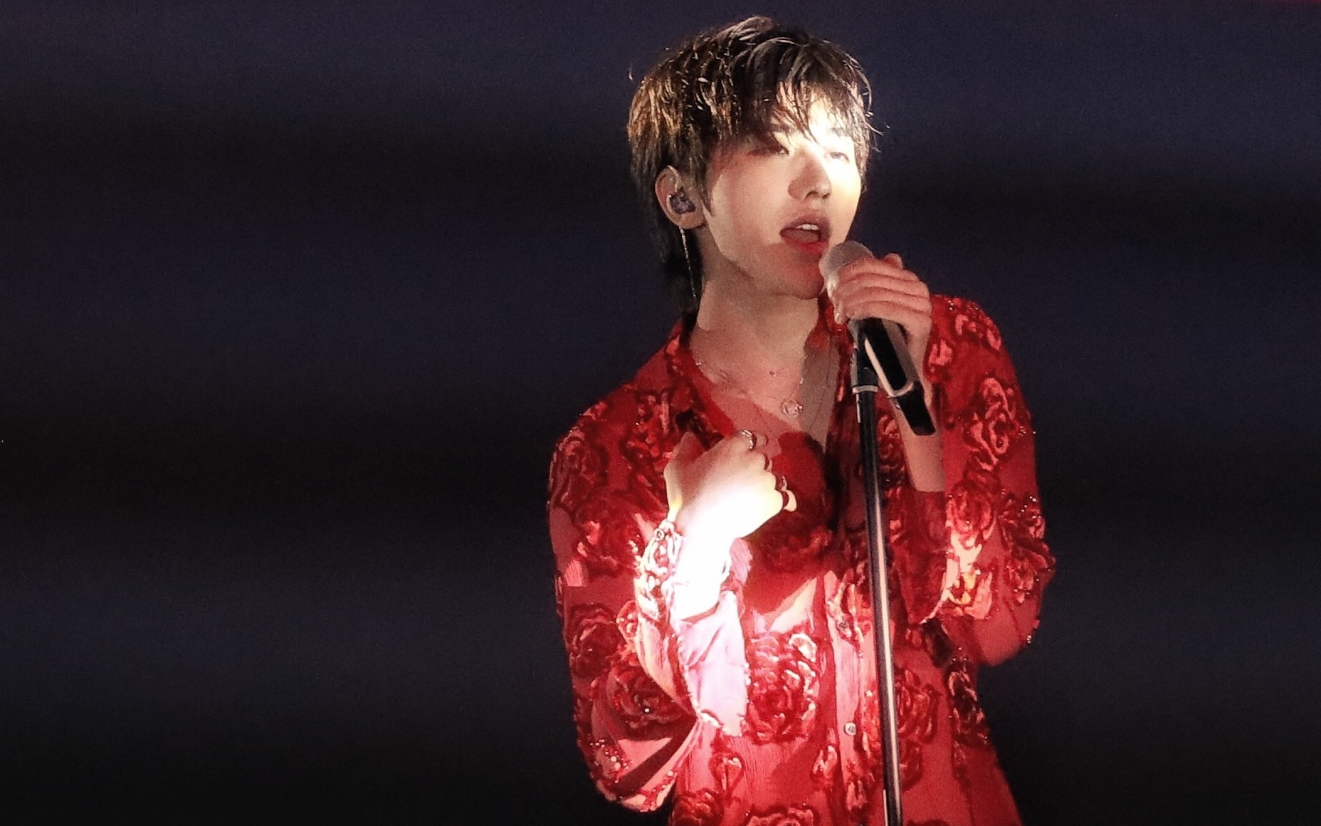 蔡徐坤青春芒果夜红玫瑰啊啊啊啊啊啊啊啊