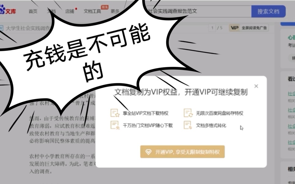 [图]【百度文库】不会还有人真的去充VIP吧！