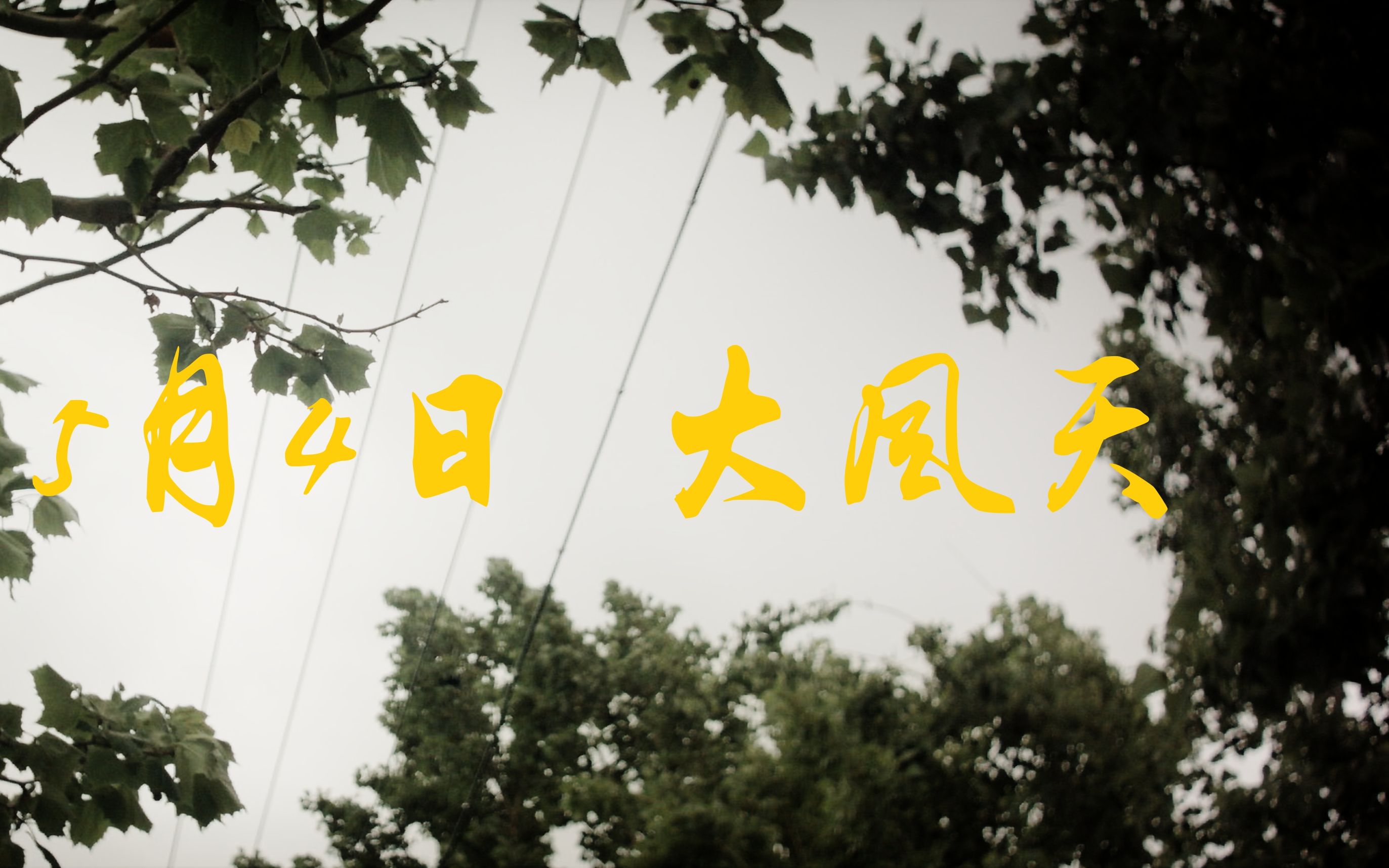 2021年5月4日 北京大风天 bmpcc记录生活_哔哩哔哩 (゜-゜)つロ 干杯