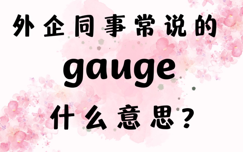 外企同事常说的英语"gauge"什么意思?【商务英语学习】哔哩哔哩bilibili