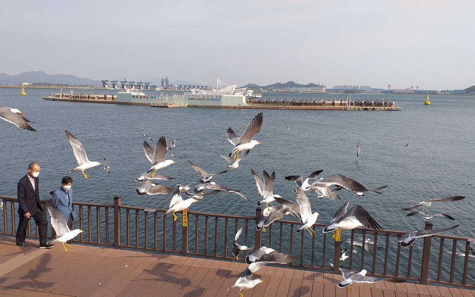 韩国木浦港图片