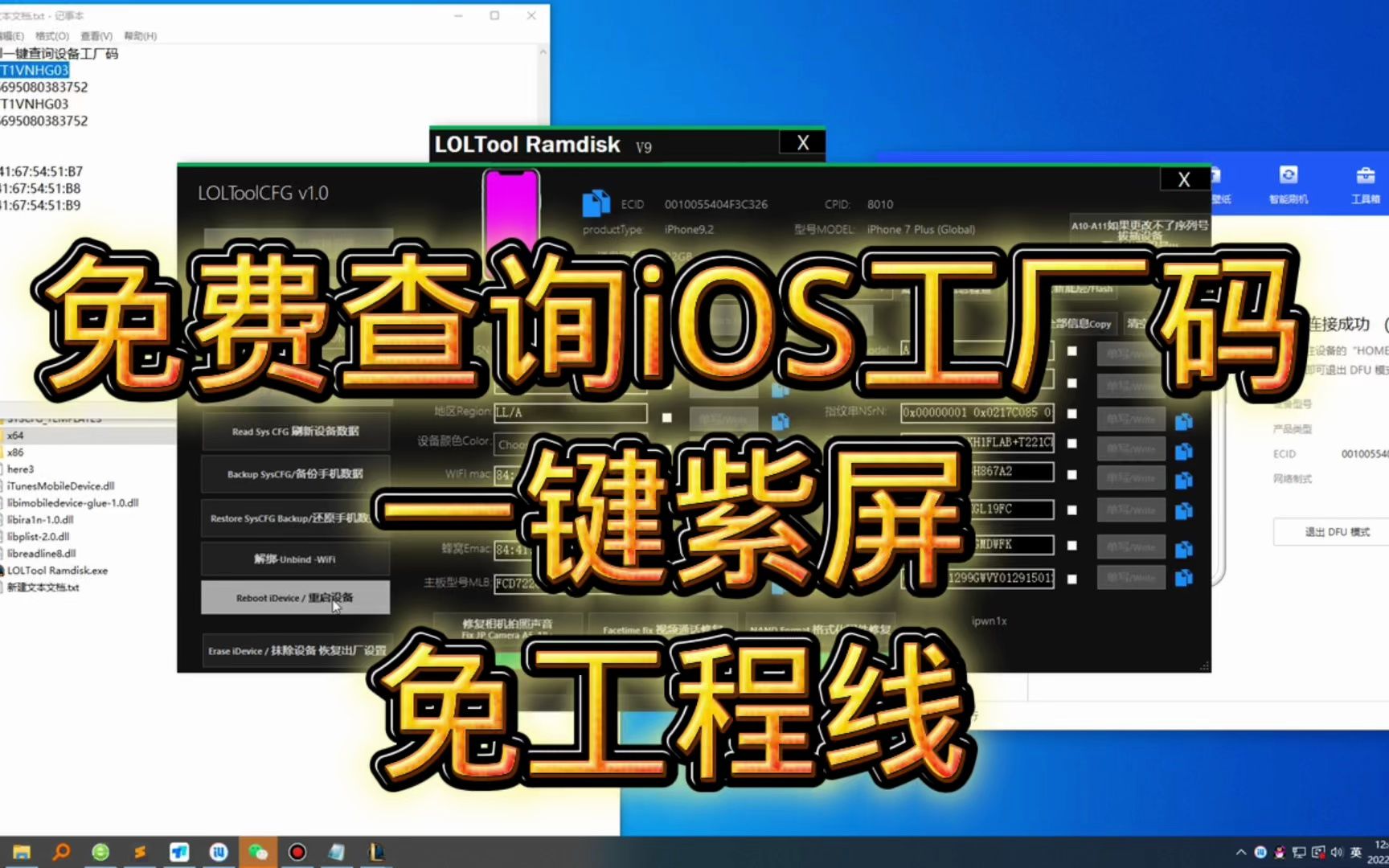 【2023最新免费白嫖绕id工具】Windows查询ios工厂原码 一键紫屏A1011免工程线 LOLToolRamdisk CFG支持iPhone和iPad哔哩哔哩bilibili