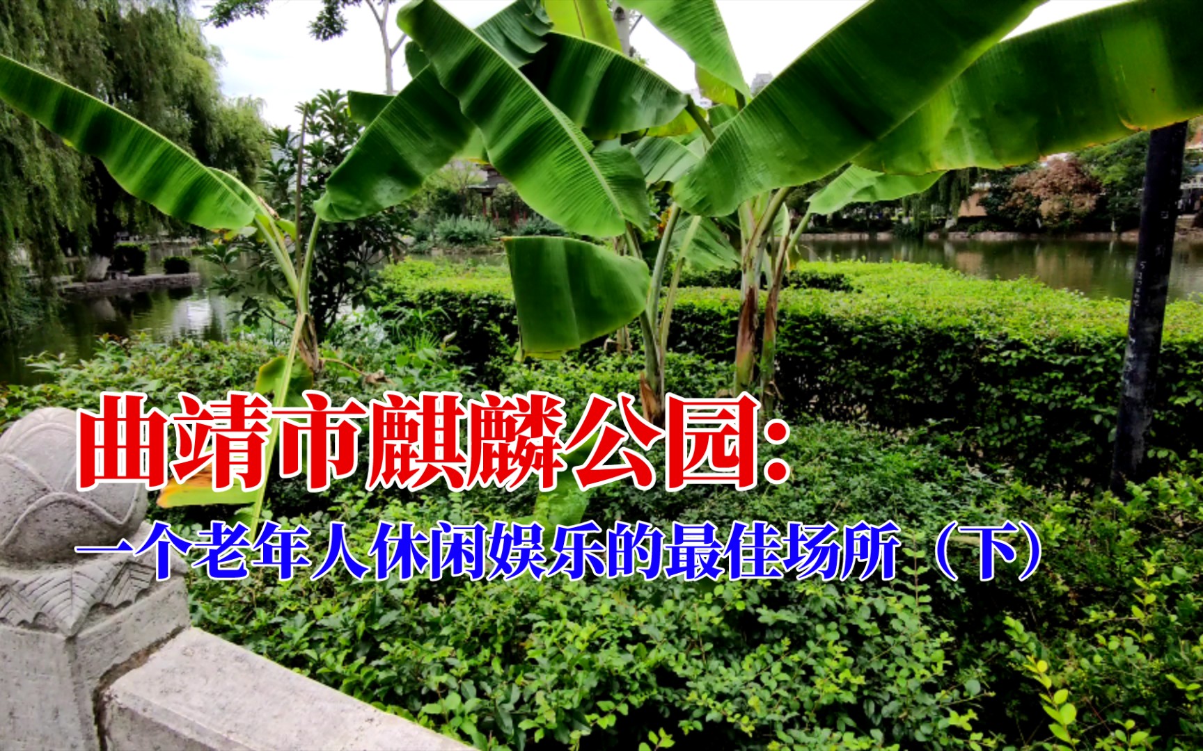 曲靖市麒麟公园:一个老年人休闲娱乐的最佳场所