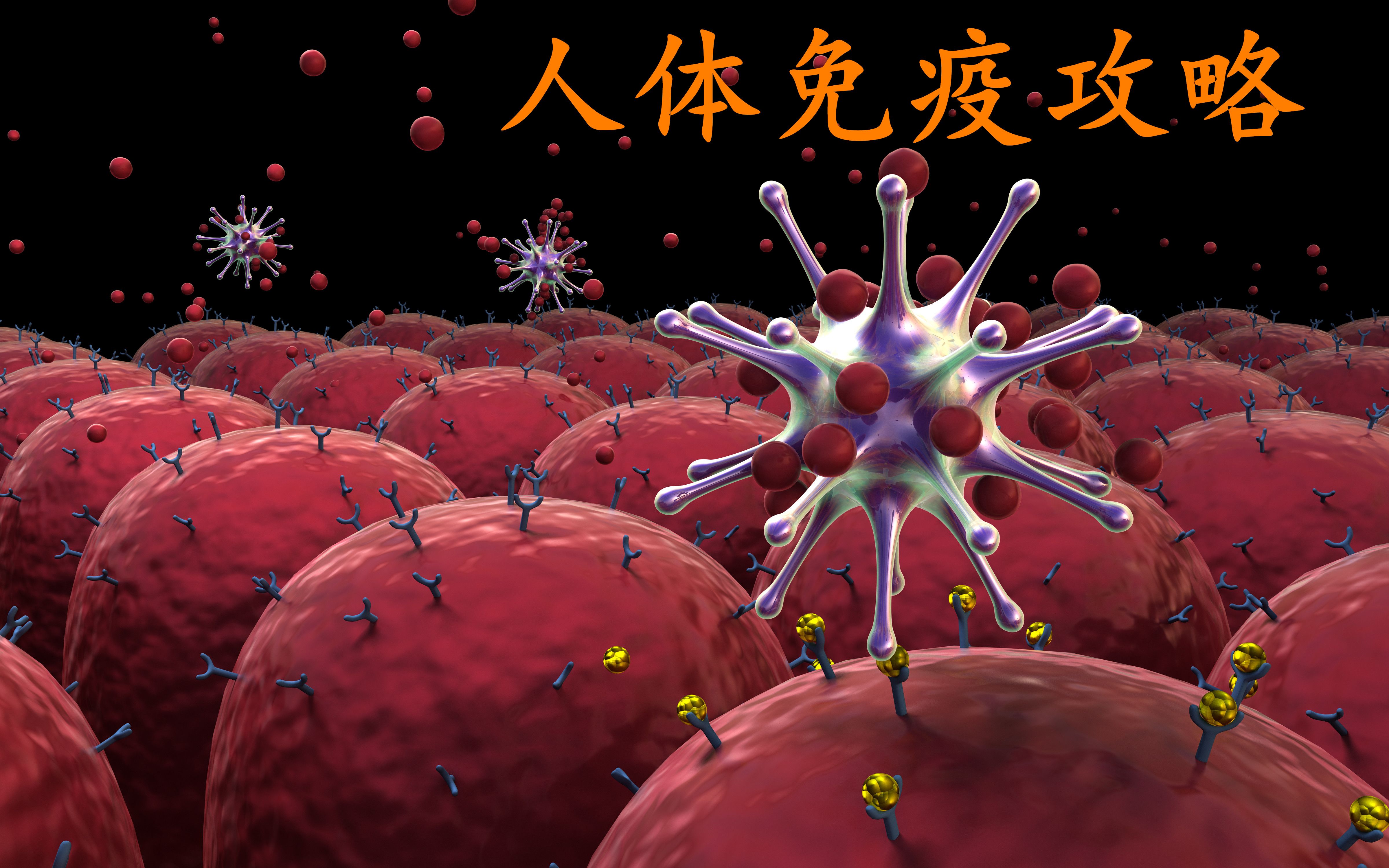 [图]第8集，身体免疫系统三道防线 细胞保护我们健康 科学探索发现