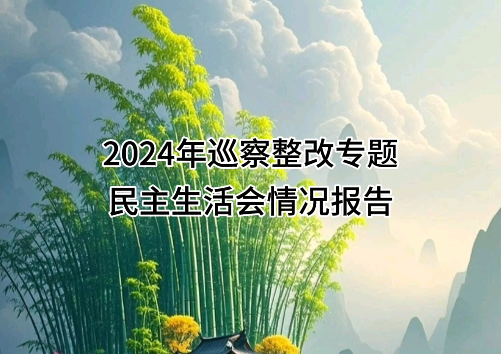 2024年巡察整改专题民主生活会情况报告哔哩哔哩bilibili