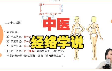 中医经络学说!哔哩哔哩bilibili