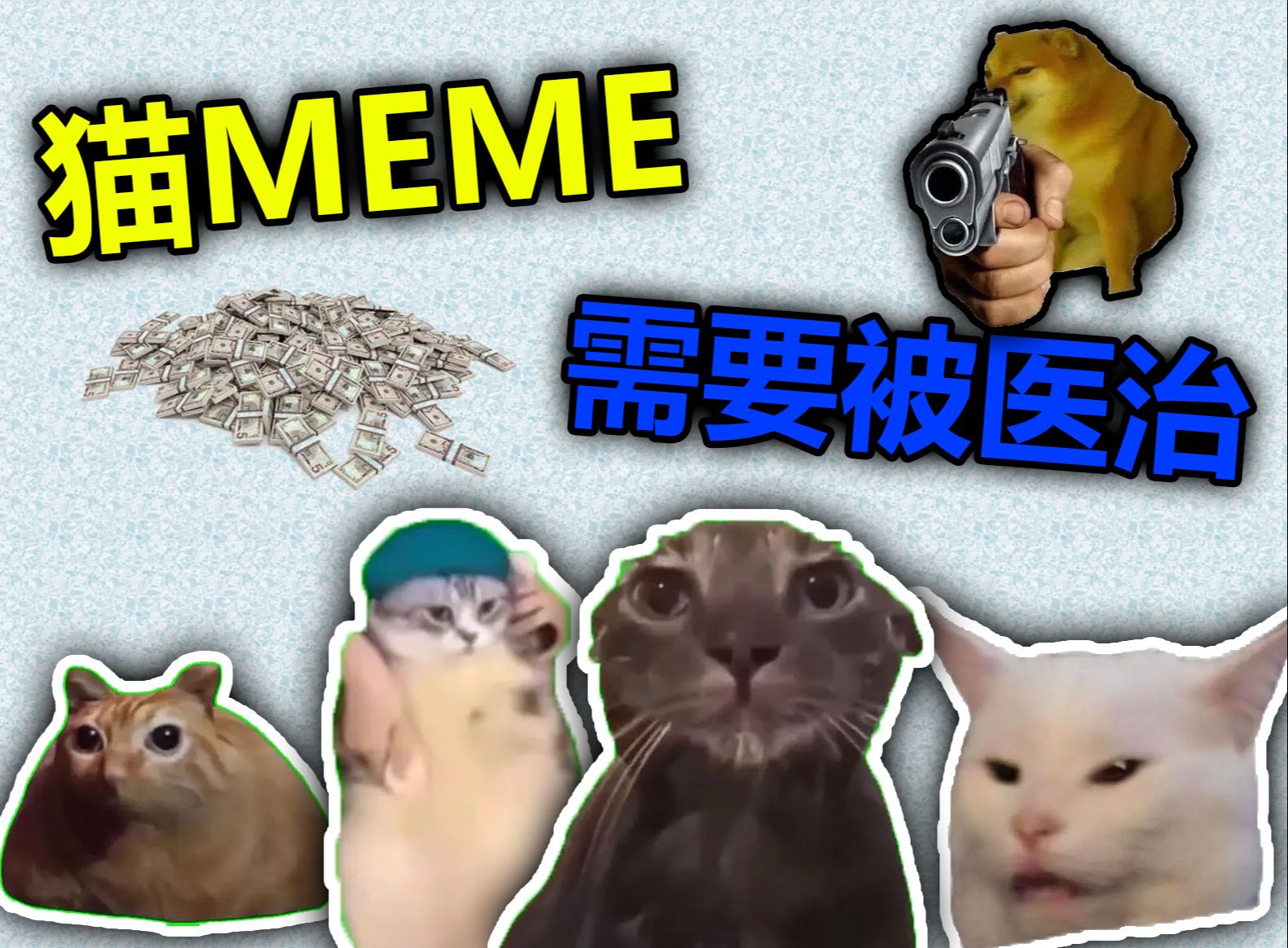 [图]互联网故事会？猫MEME需要被医治！