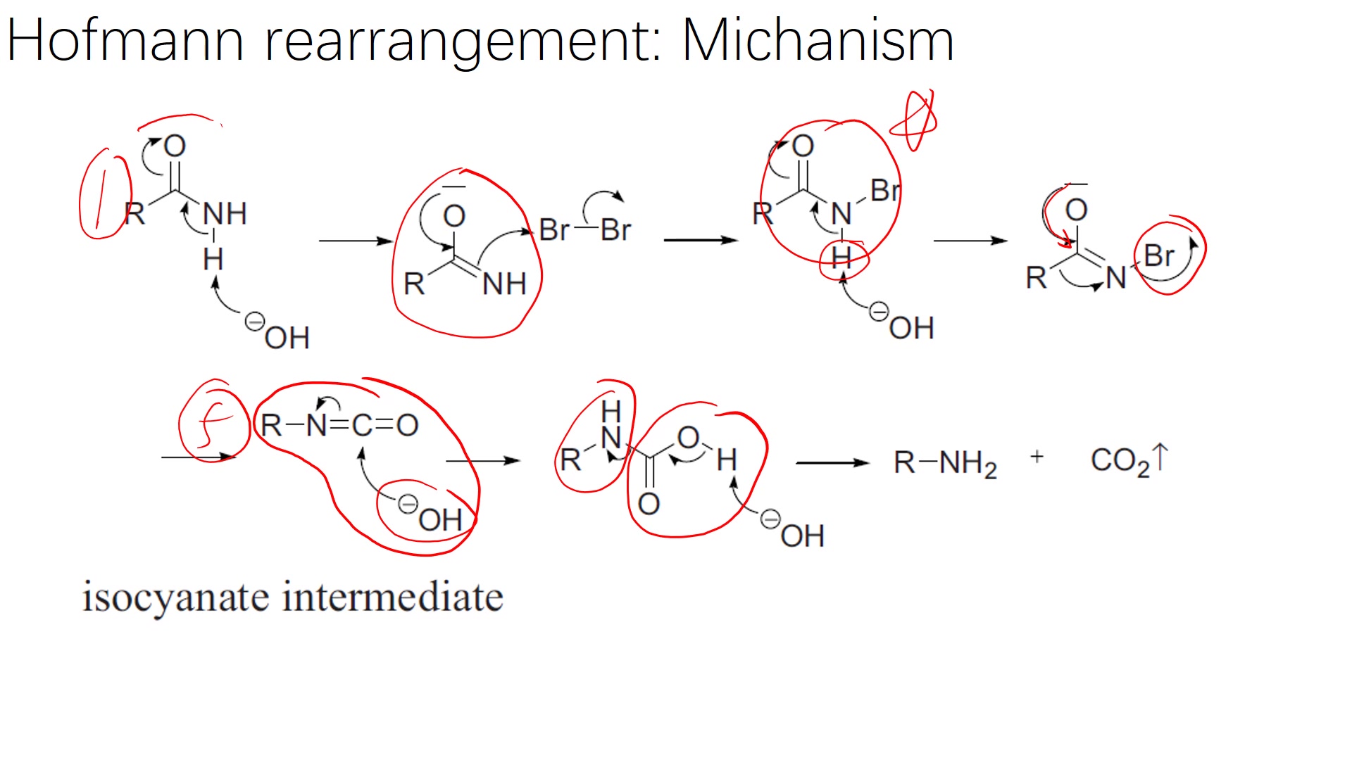 有机人名反应(137):Hofmann rearrangement哔哩哔哩bilibili