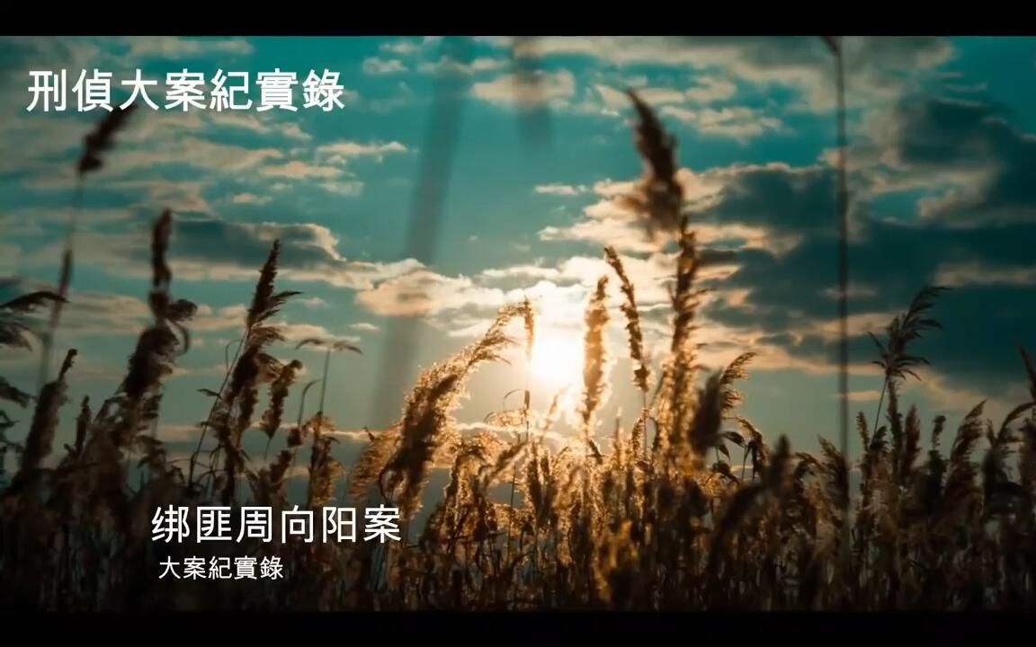 【大案纪实】周向阳案哔哩哔哩bilibili