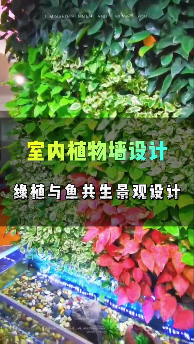 鱼与绿植墙和谐共生的设计方案,你看懂了吗? #室内植物墙 #鱼与绿植共生设计 #植物墙设计 #室内景观设计哔哩哔哩bilibili