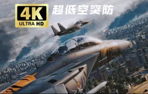 下载视频: 【DCS】史诗级大型战役  极致震撼的战机编队突防