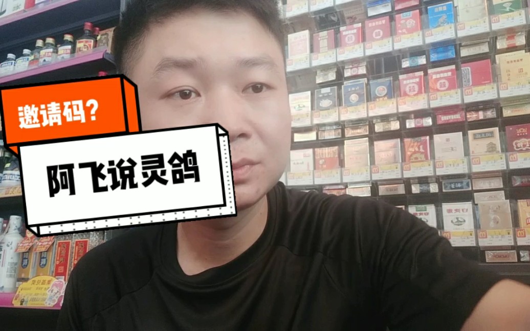 灵鸽到底是个干啥的app呢?哔哩哔哩bilibili