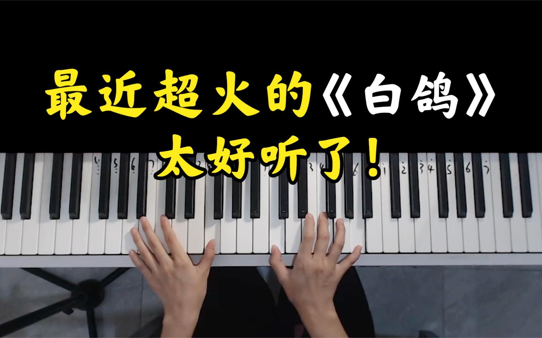 [图]最近超火的《白鸽》太好听了，单曲循环了无数遍