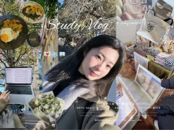 Download Video: 【全英】超长学习VLOG🎧学习浓度超高的大一下半学期☕️%！做饭｜早起｜上课｜读文献｜写论文