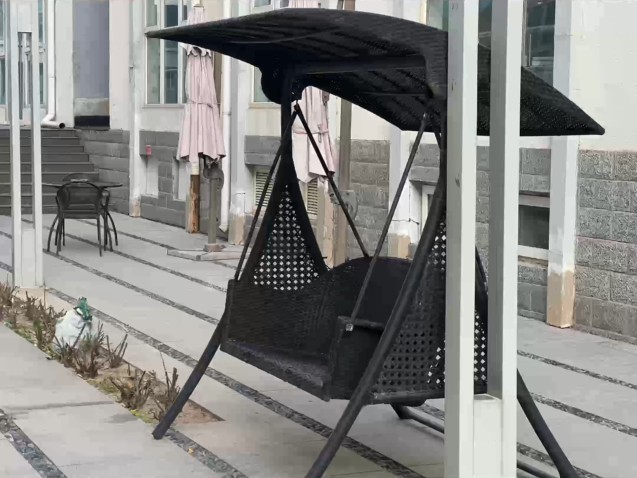 秋千椅下的悠闲时光