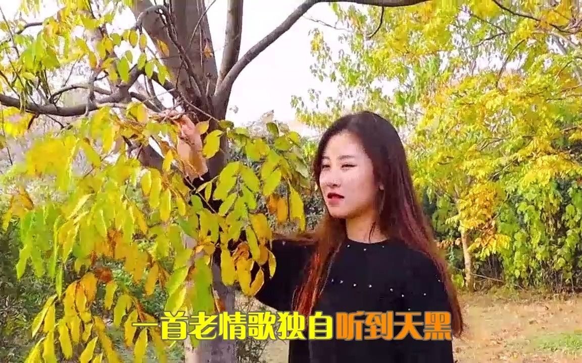 [图]《念旧的人最容易掉眼泪》《下辈子不做女人》《风干的玫瑰》