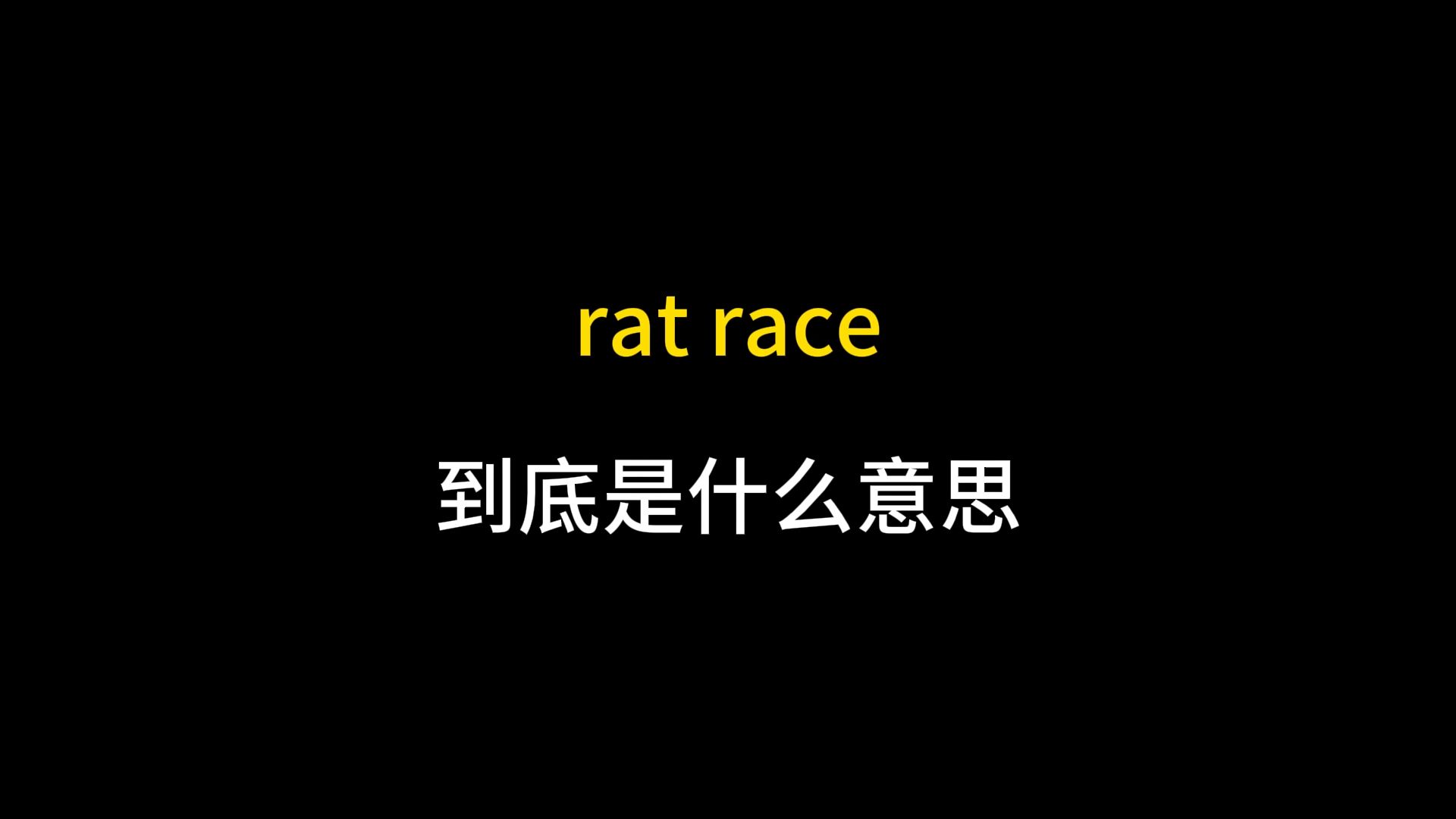 rat race到底是什么意思?哔哩哔哩bilibili