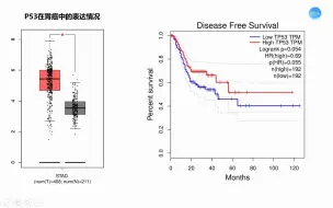 Download Video: 如何肿瘤中某个基因的表达情况