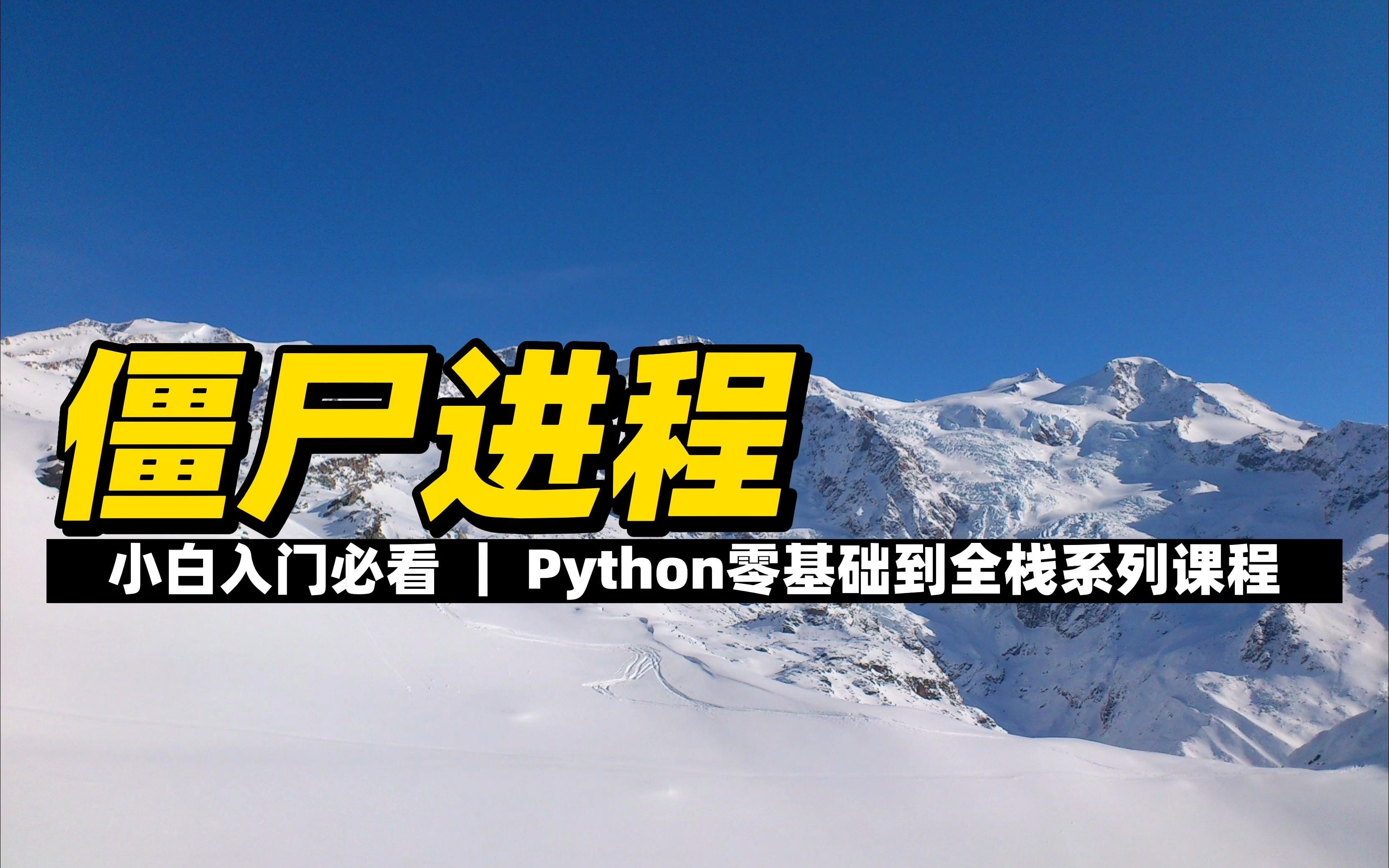 僵尸进程  《Python零基础到全栈系列》哔哩哔哩bilibili