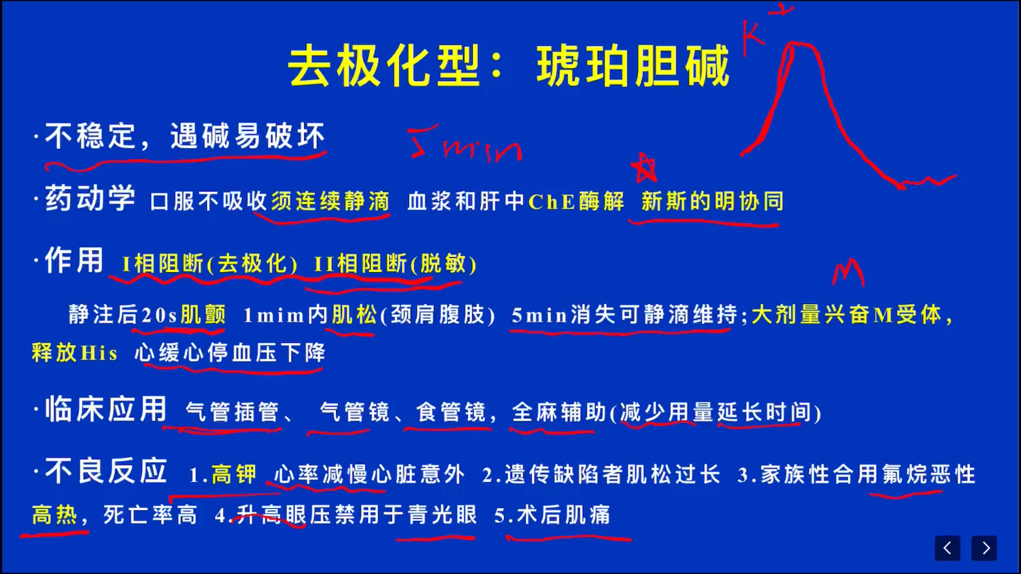 【自用】药理学:N胆碱受体阻断药 费曼学习法ⷨ𞹥�𞹨“”哩哔哩bilibili