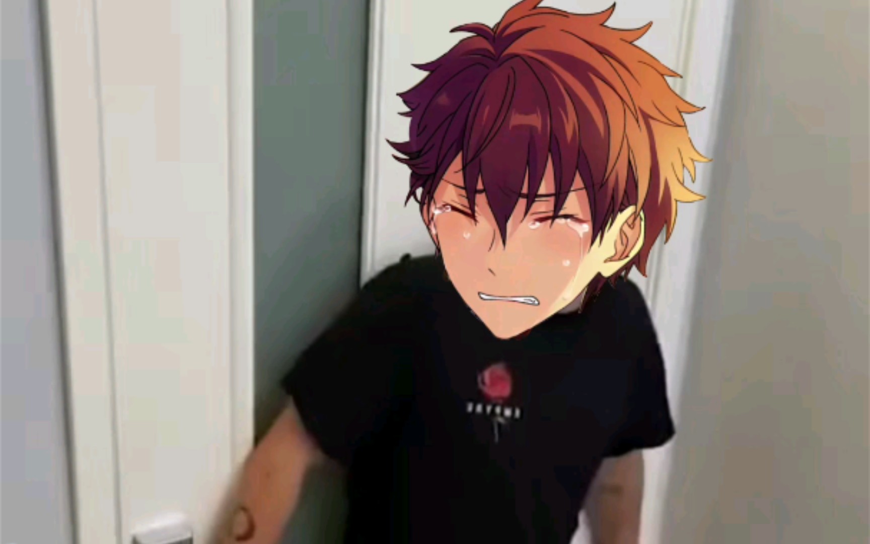 【偶像梦幻祭】回家看到茄子的守泽千秋