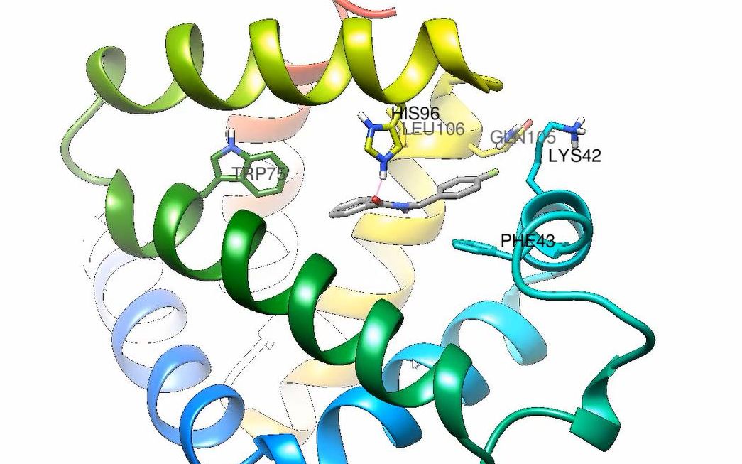 【分子对接】UCSF Chimera分子对接+结果可视化一条龙软件 中文字幕哔哩哔哩bilibili