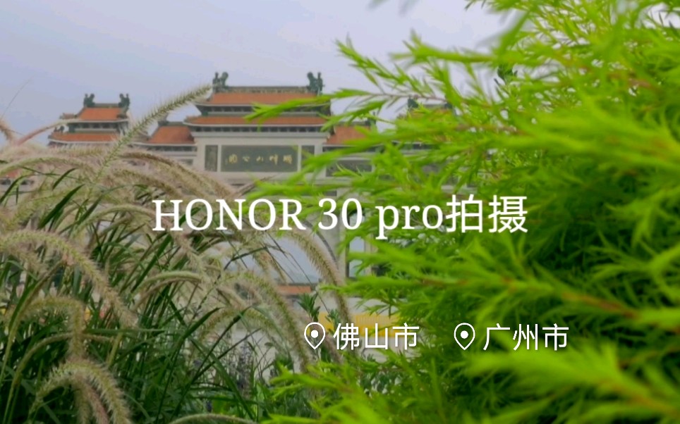 【HONOR 30 PRO】我的2020年昆虫摄影合集哔哩哔哩bilibili