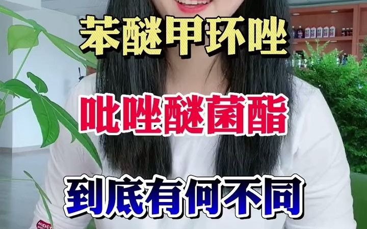 【三农】苯醚甲环唑与吡唑醚菌酯到底有什么不同呢?我来告诉您!哔哩哔哩bilibili