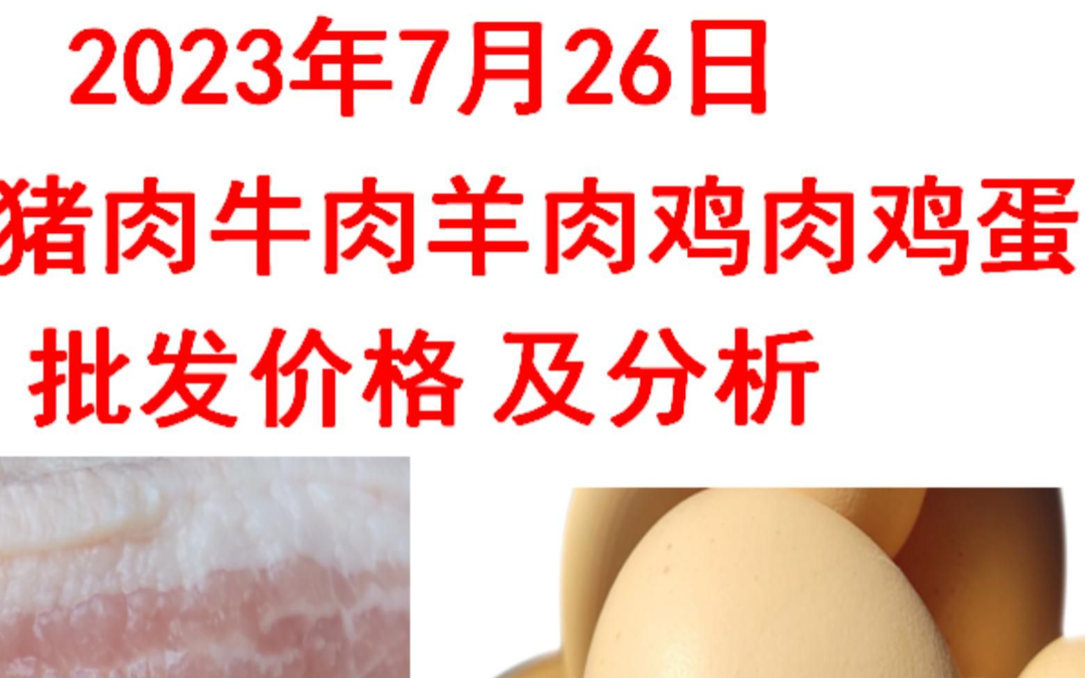 2023年07月26日全国猪肉牛肉羊肉鸡肉鸡蛋批发价格日报走势分析哔哩哔哩bilibili