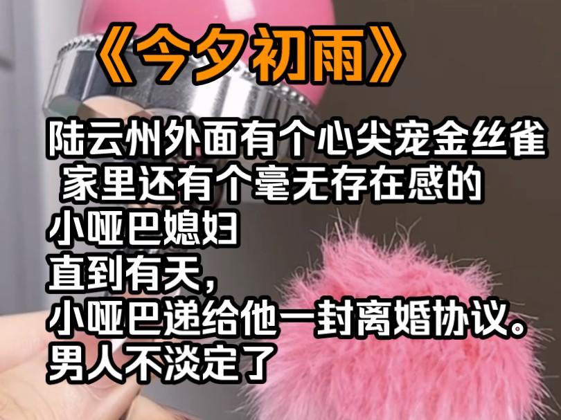 陆云州外面有个心尖宠金丝雀, 家里还有个毫无存在感小哑巴媳妇,直到有天,小哑巴递给他一封离婚协议. 男人不淡定了.哔哩哔哩bilibili