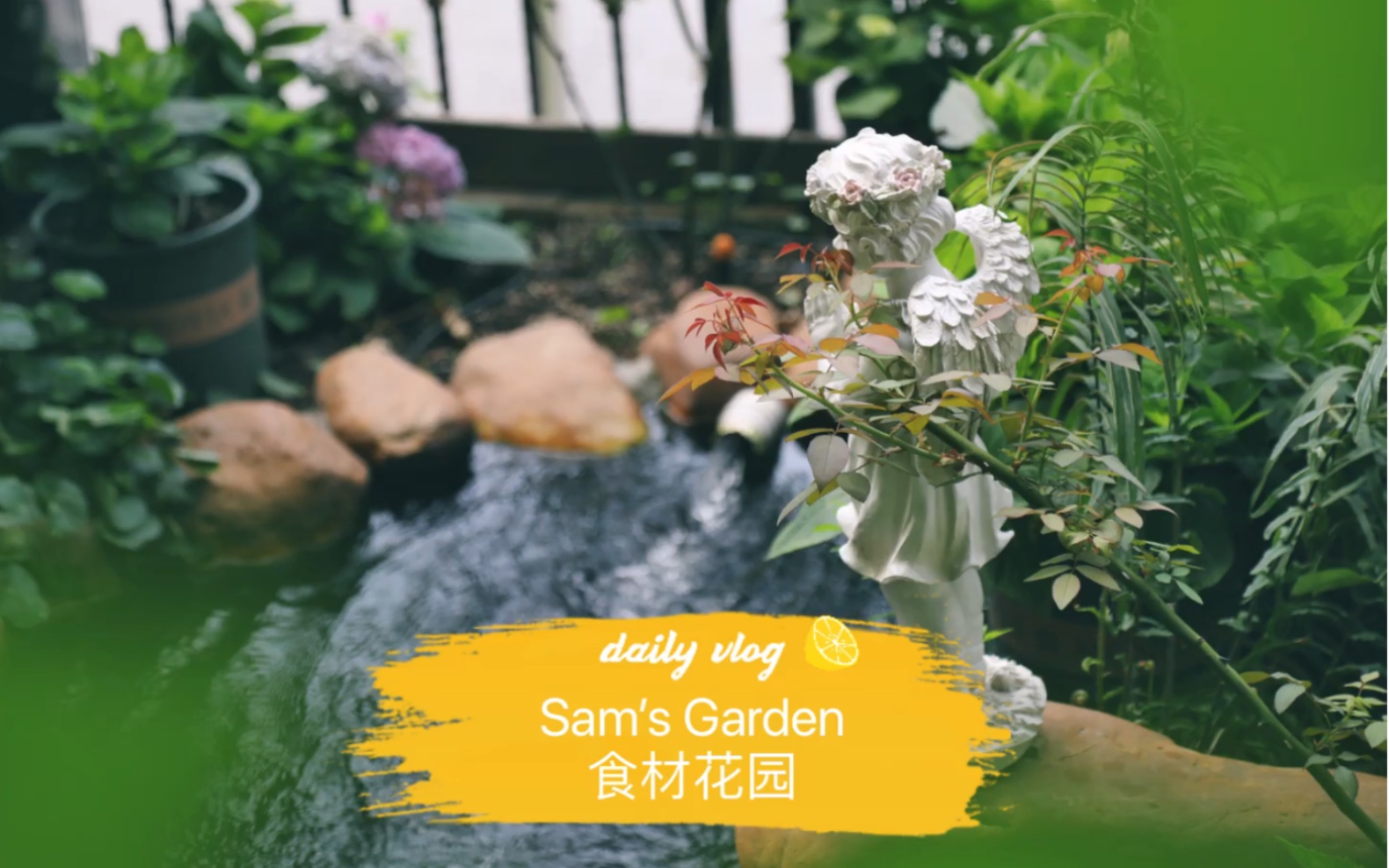 [图]Sam ’s Garden 食材花园