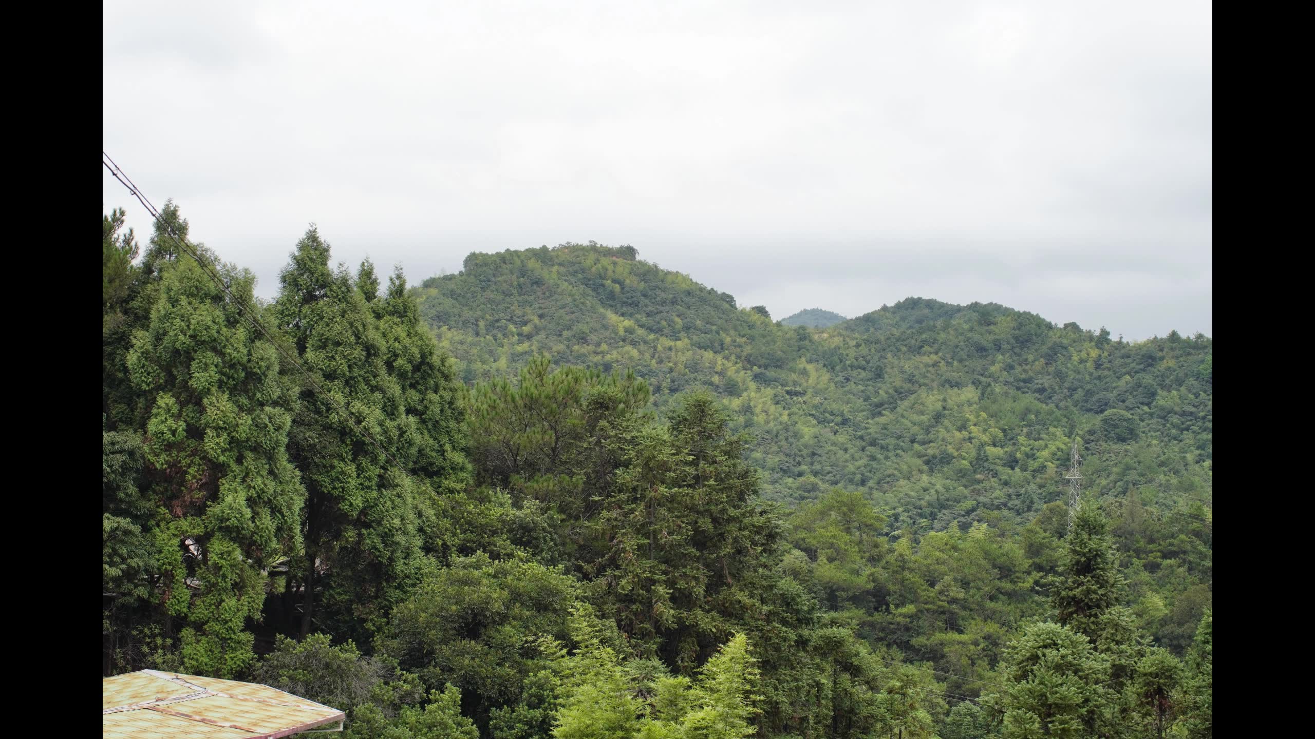 同安小坪山森林公园图片