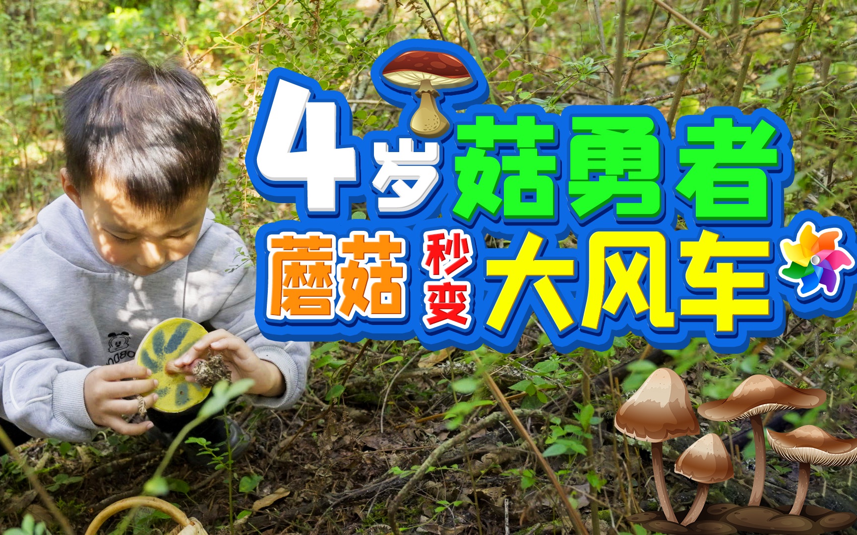 云南4岁菇勇者进山,这次采到了见手青,蘑菇秒变大风车哔哩哔哩bilibili