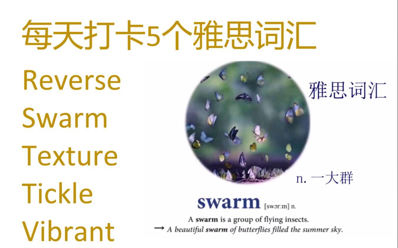 每天打卡5个雅思词汇 reverse, swarm, texture, tickle,vibrant哔哩哔哩bilibili