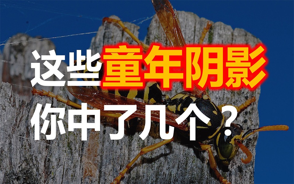 带你真实了解“童年阴影”背后的真相,这些小虫你应该并不陌生哔哩哔哩bilibili