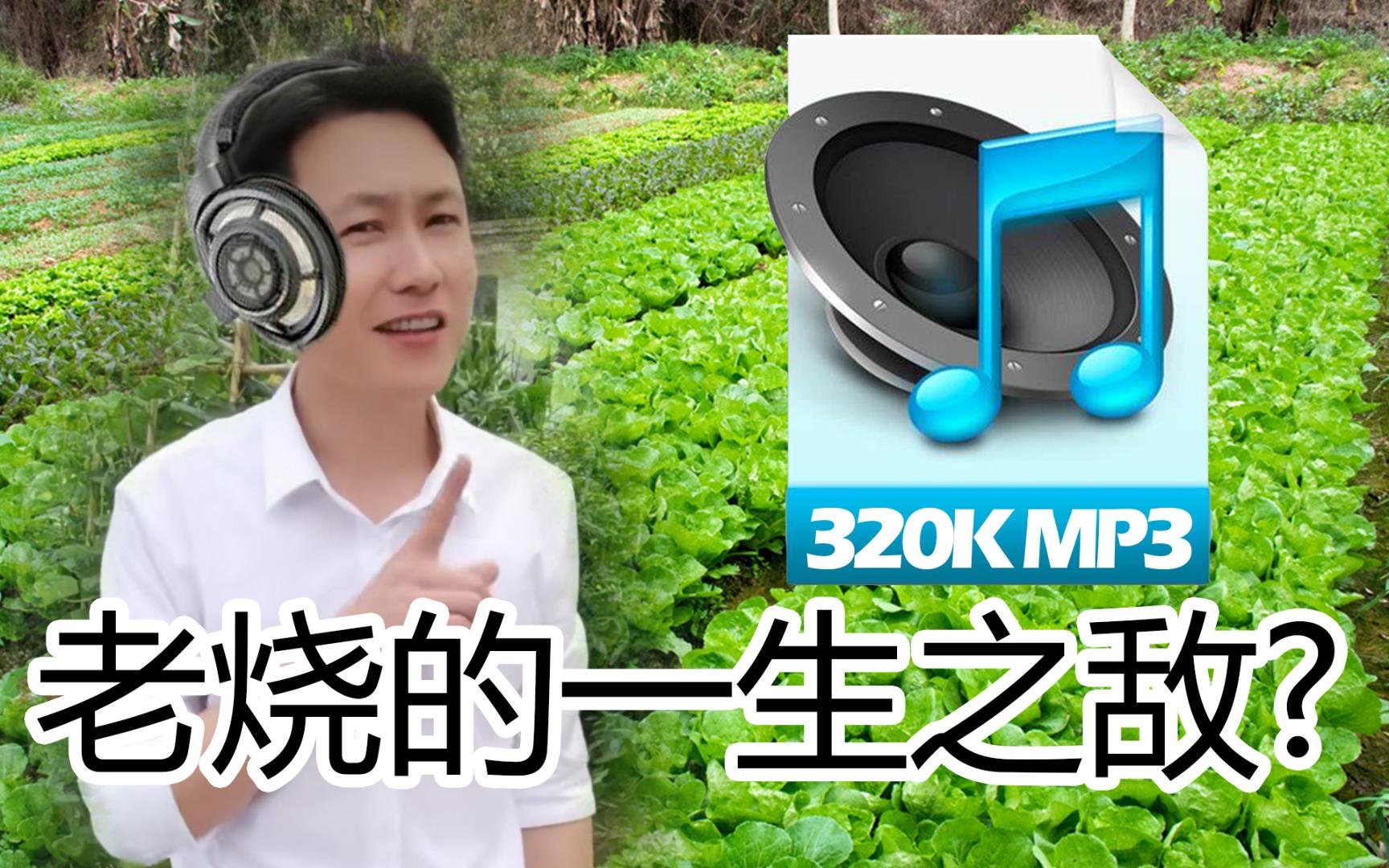 [图]【HiFi奇葩说46】为什么说320k的mp3是老烧的一生之敌？320k和无损到底有区别吗？