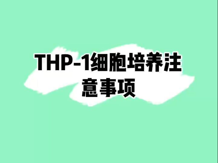 THP1细胞培养注意事项#细胞培养哔哩哔哩bilibili