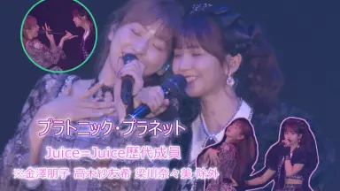 稲場愛香-哔哩哔哩_Bilibili