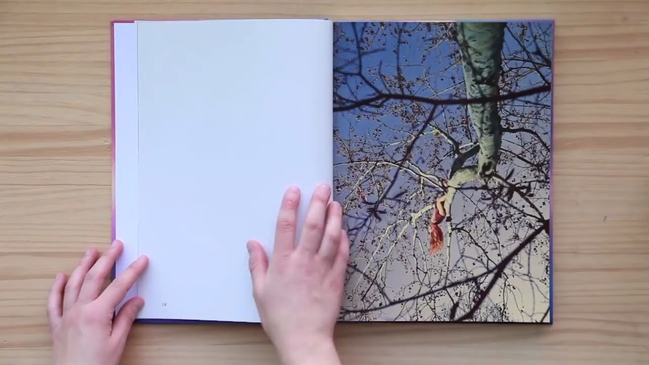 【摄影画册|照片书翻书视频】Ryan McGinley  Way Far哔哩哔哩bilibili