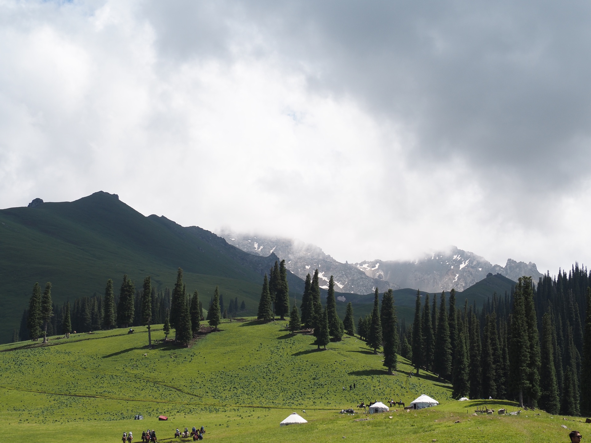 新疆纪实 |赛里木湖|独山子大峡谷|伊昭公路|恰西森林公园|那拉提|独