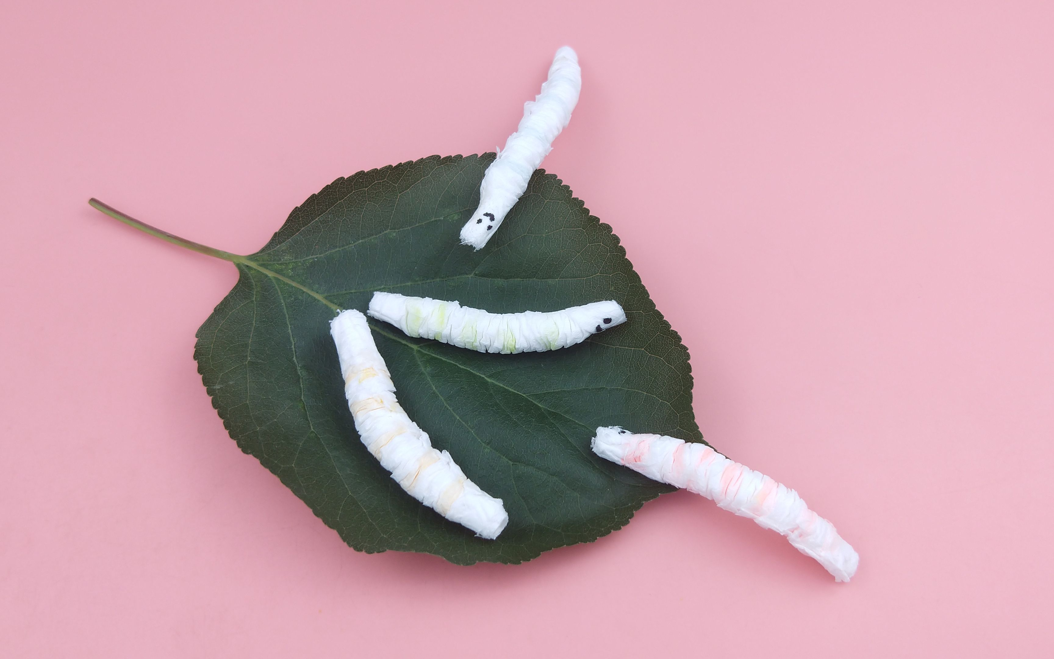 教你用纸巾做蚕宝宝,遇水就能复活,太好玩了,手工diy教学