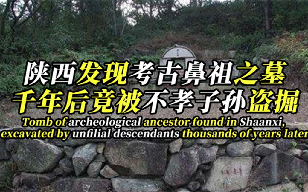 【阿粥の晚安电台】关于王小波_哔哩哔哩_bilibili