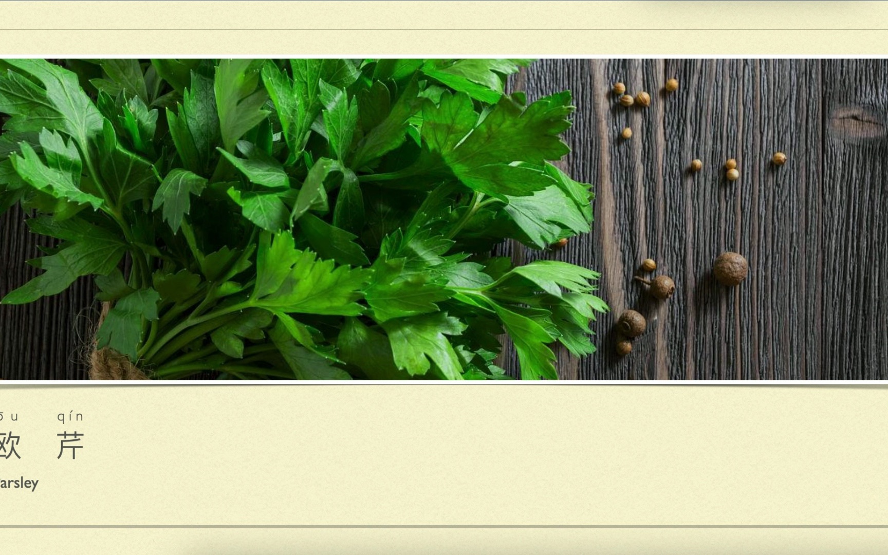 Spices: Parsley ,香辛料:欧芹哔哩哔哩bilibili