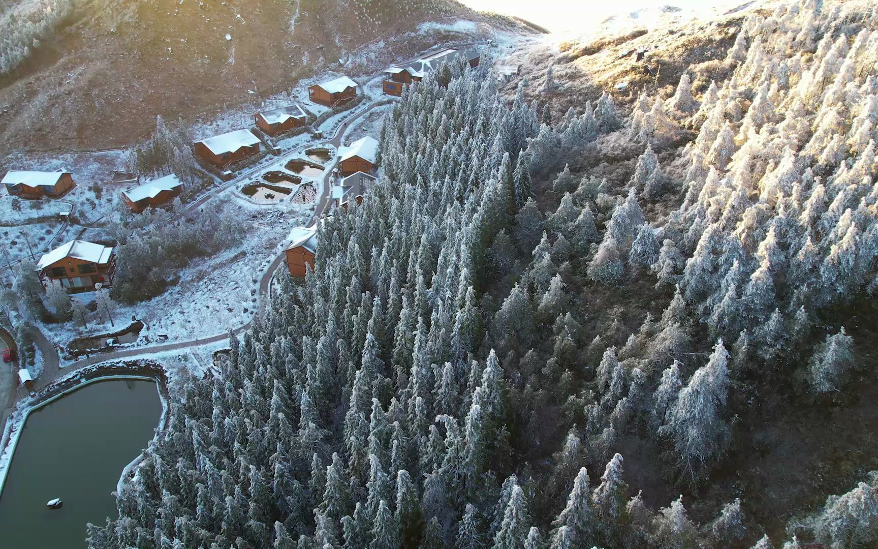 [图]一场春雪，把福建粉饰了塞外