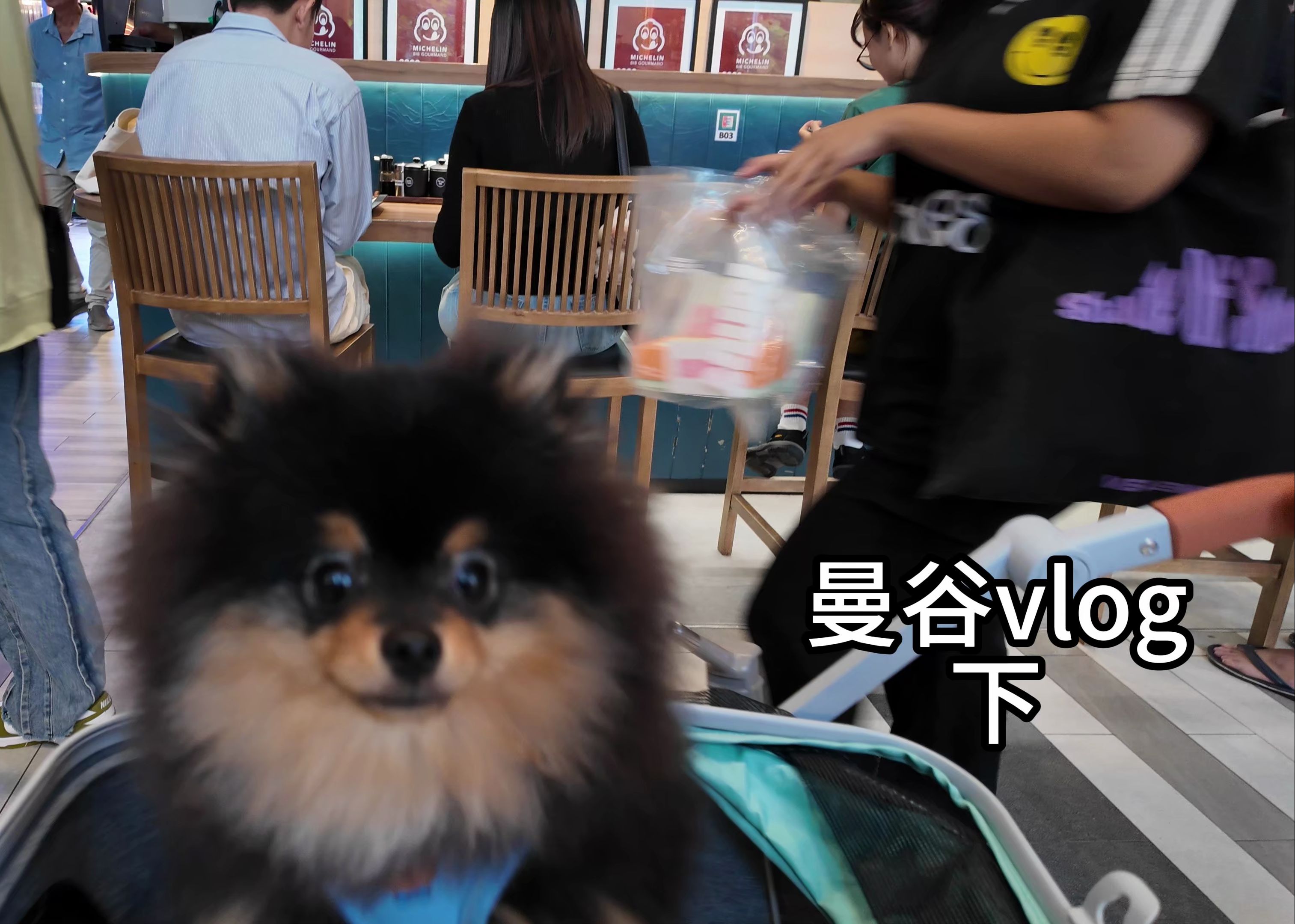 曼谷vlog下哔哩哔哩bilibili