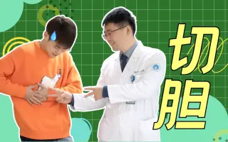 胆囊炎 搜索结果 哔哩哔哩 Bilibili